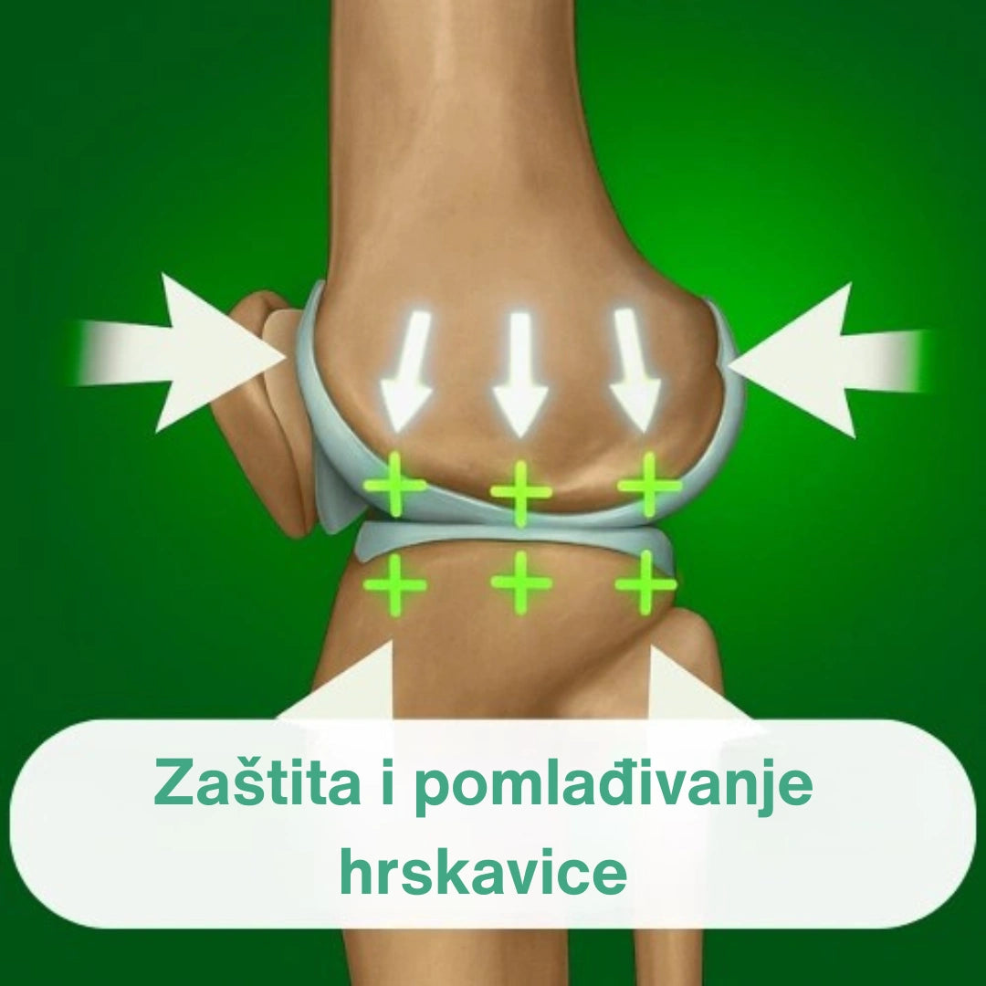 OrthoKnee™ – Dugotrajno olakšanje od artritisa i bolova u zglobovima